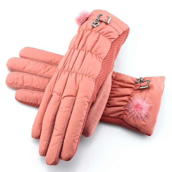 Winter gloves, cold, windproof, rainproof gloves