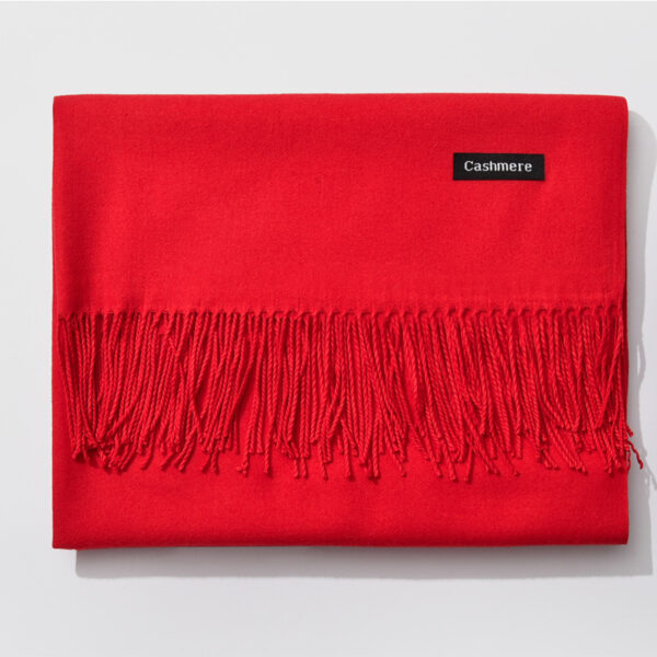 Autumn and winter fringed cashmere scarf - Imagen 7