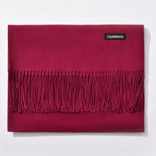 Autumn and winter fringed cashmere scarf - Imagen 12