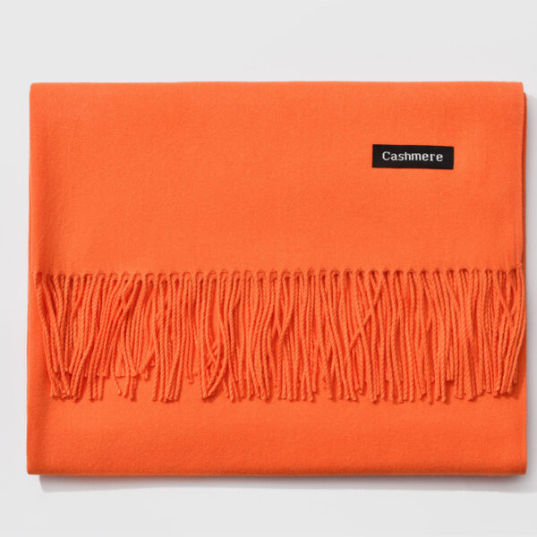 Autumn and winter fringed cashmere scarf - Imagen 31