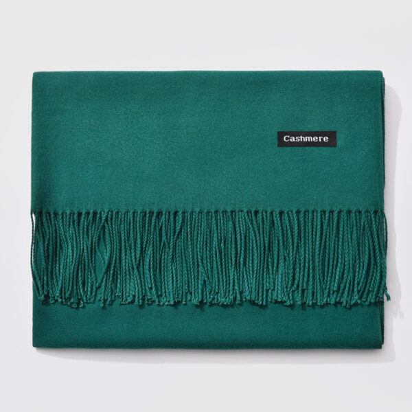 Autumn and winter fringed cashmere scarf - Imagen 20