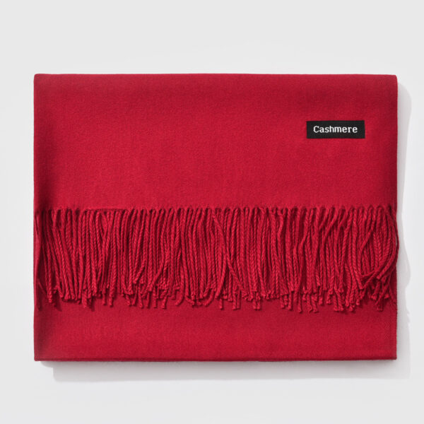 Autumn and winter fringed cashmere scarf - Imagen 30