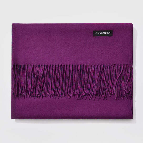 Autumn and winter fringed cashmere scarf - Imagen 28