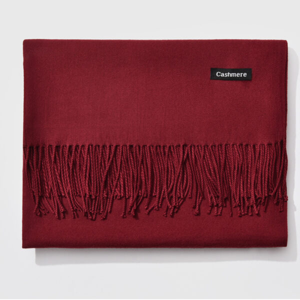 Autumn and winter fringed cashmere scarf - Imagen 9