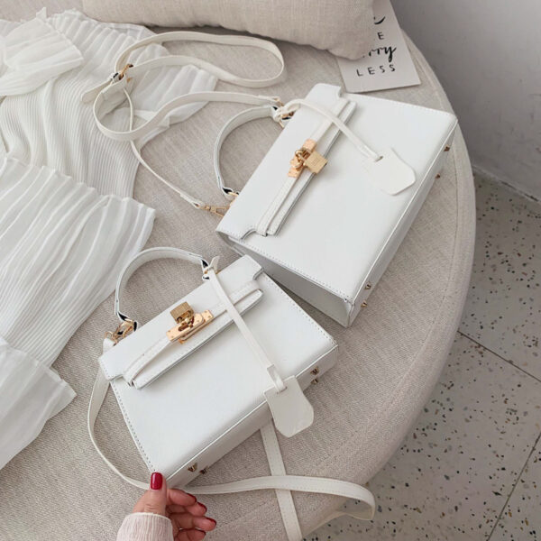 Portable platinum bag - Imagen 16
