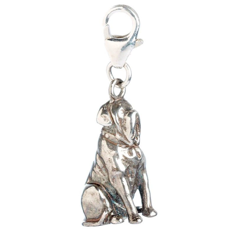 Colgante charm Hagrids Dog Fang Harry Potter plata