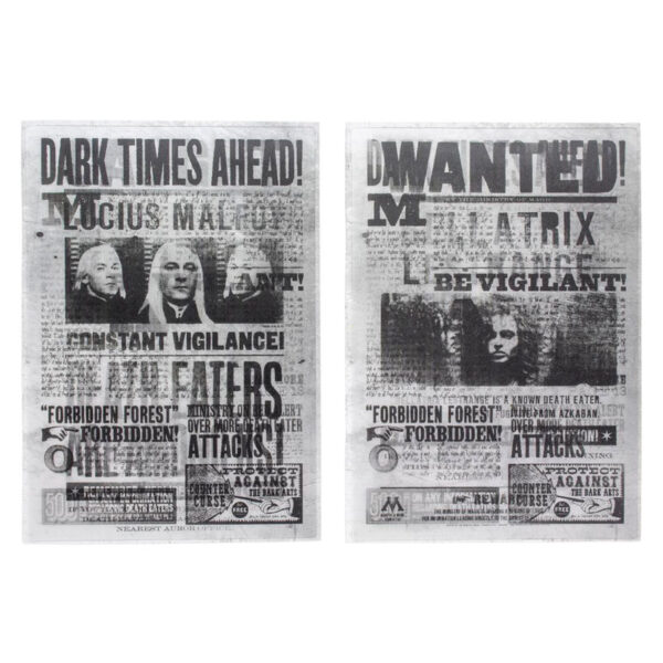 Set 2 libretas Mortifagos Harry Potter