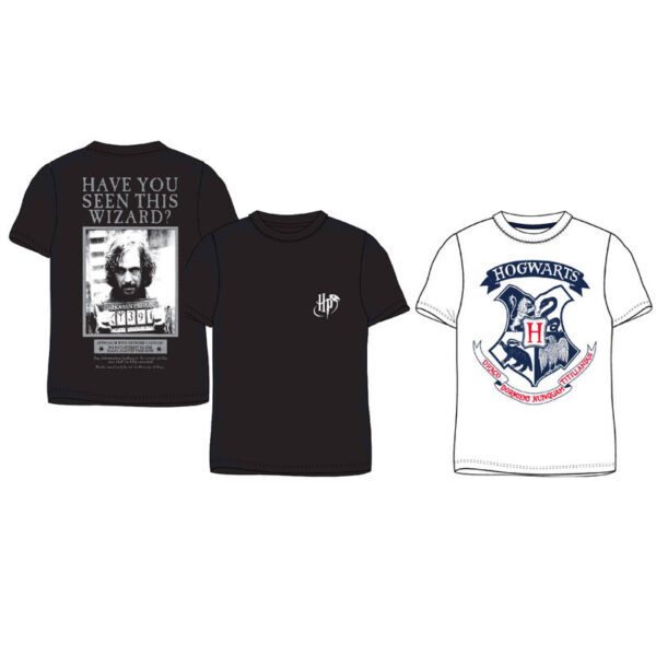 Camiseta Harry Potter surtido
