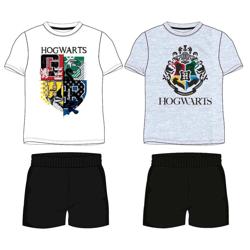 Conjunto Harry Potter surtido adulto