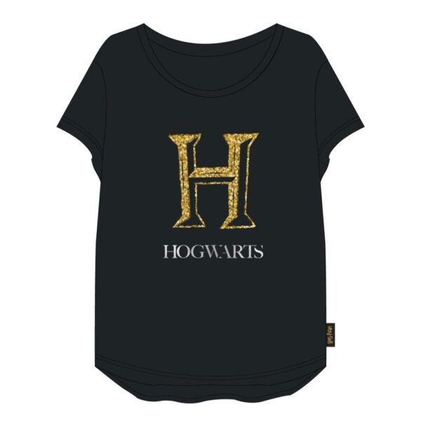 Camiseta premium Harry Potter adulto