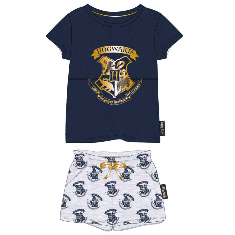 Conjunto Hogwarts Harry Potter