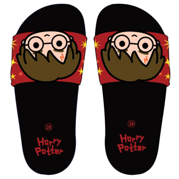 Chanclas Harry Potter